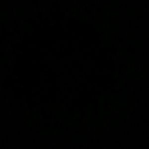 Meet your Posher, Gavin